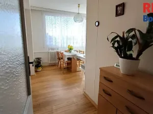 Pronájem bytu 1+1, Mladá Boleslav, Jana Palacha, 41 m2