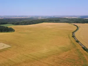 Prodej pole, Horní Slivno, 27919 m2