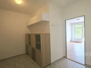 Pronájem bytu 1+kk, Písek, Krokova, 42 m2