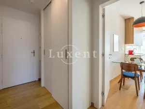 Pronájem bytu 2+kk, Praha, Holečkova, 71 m2