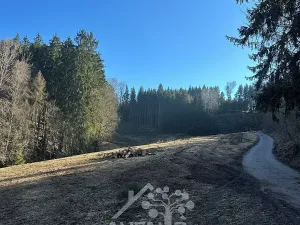 Prodej louky, Bozkov, 15029 m2