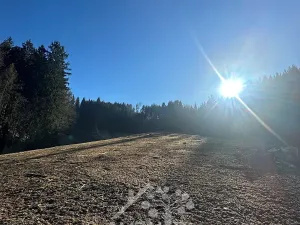 Prodej louky, Bozkov, 15029 m2