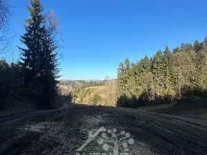 Prodej louky, Bozkov, 15029 m2