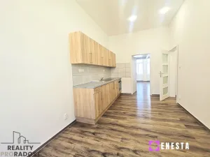 Pronájem bytu 1+1, Praha - Nusle, Boleslavova, 46 m2