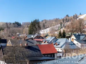 Prodej bytu 2+kk, Černý Důl, 78 m2