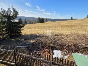 Prodej chalupy, Horní Blatná, Lesní, 1463 m2