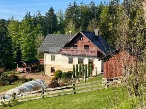 Prodej apartmánu, Paseky nad Jizerou, 345 m2