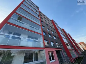 Prodej bytu 3+1, Most, Josefa Ševčíka, 68 m2