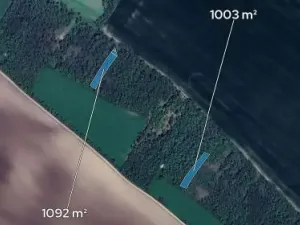 Prodej podílu lesa, Morašice, 698 m2