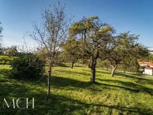 Prodej pozemku pro bydlení, Pitín, 1356 m2