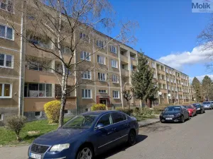 Prodej bytu 2+1, Bílina - Teplické Předměstí, M. Švabinského, 55 m2