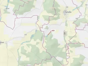 Dražba lesa, Kuřimany, 1719 m2