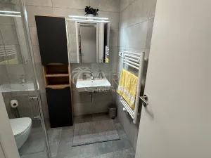 Pronájem bytu 1+kk, Praha - Žižkov, Malešická, 42 m2