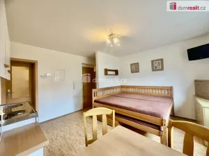 Pronájem bytu 1+kk, Harrachov - Nový Svět, 25 m2