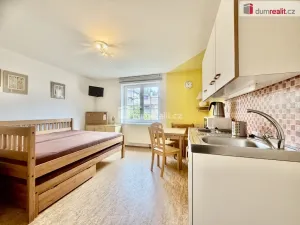 Pronájem bytu 1+kk, Harrachov - Nový Svět, 25 m2