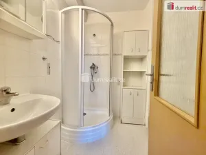 Pronájem bytu 1+kk, Harrachov - Nový Svět, 25 m2