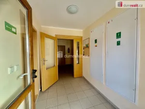 Pronájem bytu 1+kk, Harrachov - Nový Svět, 25 m2