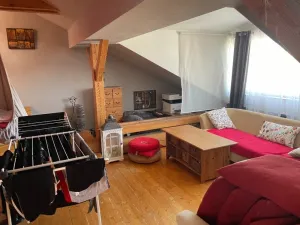 Dražba bytu 2+kk, Hradec Králové - Pražské Předměstí, Horova, 93 m2