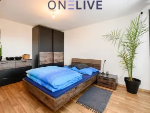 Prodej rodinného domu, Město Touškov, Mírová, 162 m2