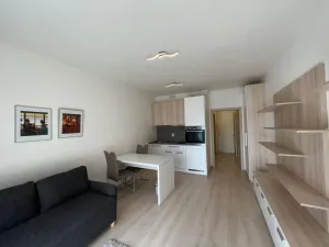 Pronájem bytu 1+kk, Praha - Vršovice, Petrohradská, 30 m2