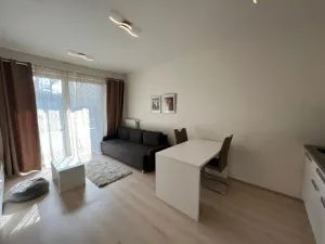 Pronájem bytu 1+kk, Praha - Vršovice, Petrohradská, 30 m2