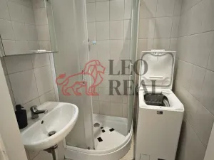 Pronájem bytu 1+kk, Praha - Podolí, Kaplická, 33 m2