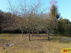 Prodej rodinného domu, Jimramov, 214 m2