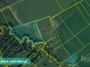 Prodej pole, Bohuslavice, 43749 m2