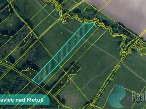 Prodej pole, Bohuslavice, 43749 m2