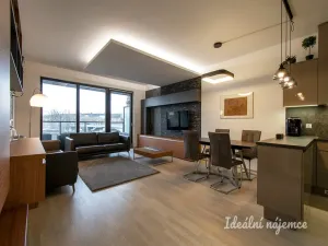 Pronájem bytu 3+kk, Praha - Holešovice, Sanderova, 97 m2