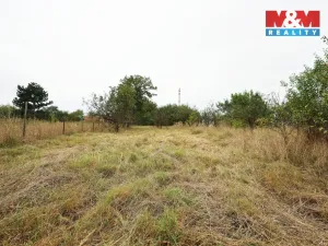 Prodej zahrady, Olomouc, Hollarova, 2281 m2