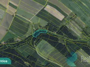 Prodej louky, Výprachtice, 6838 m2