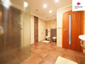 Prodej rodinného domu, Křídla, 250 m2
