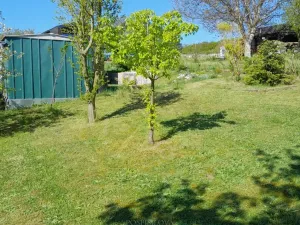 Pronájem zahrady, Běloky, 376 m2