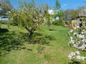 Pronájem zahrady, Běloky, 376 m2