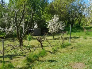 Pronájem zahrady, Běloky, 376 m2