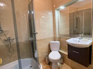 Prodej bytu 1+1, Karlovy Vary, Bulharská, 43 m2