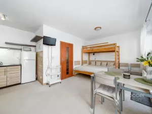 Prodej bytu 1+kk, Žacléř - Prkenný Důl, 37 m2