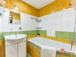 Prodej bytu 3+1, Hradec Králové - Pražské Předměstí, Gebauerova, 55 m2