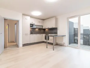 Pronájem bytu 2+kk, Olomouc, Eduarda Hamburgera, 55 m2