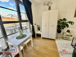 Pronájem bytu 1+kk, Brno - Zábrdovice, Bratislavská, 24 m2