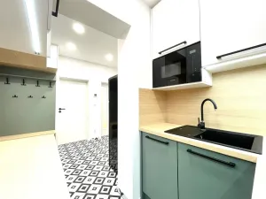 Pronájem bytu 2+1, Praha - Žižkov, Žerotínova, 50 m2