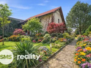 Prodej apartmánu, Štítary, 665 m2