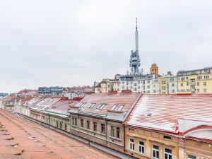 Prodej bytu 2+kk, Praha - Žižkov, 72 m2