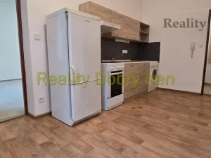Pronájem bytu 1+1, Opava, Mánesova, 42 m2