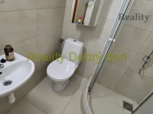 Pronájem bytu 1+1, Opava, Mánesova, 42 m2