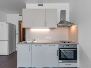 Pronájem bytu 1+kk, Praha - Vysočany, Sokolovská, 28 m2