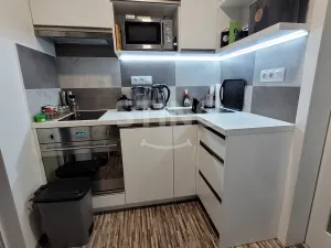 Pronájem bytu 1+kk, Opava, Antonína Sovy, 21 m2