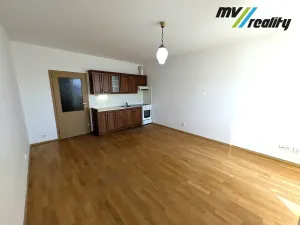 Pronájem bytu 1+kk, Lysá nad Labem, Vichrova, 31 m2