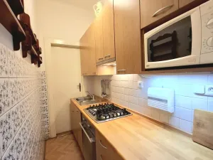 Pronájem bytu 3+kk, Praha - Holešovice, U smaltovny, 75 m2